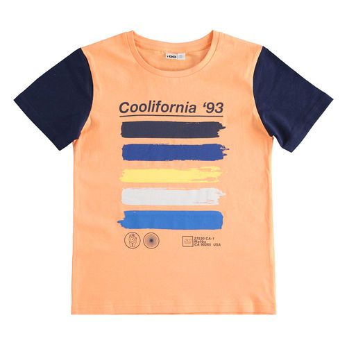 100% cotton T-shirt with colourful print and contrasting sleeves - 44816